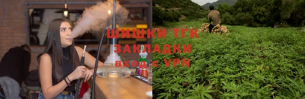 скорость Белокуриха
